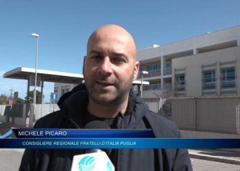 Picaro