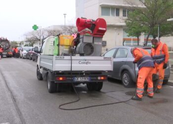 Bari, La Lotta Alle Blatte Parte Dal San Paolo: Primi Interventi In Piazza Europa – Video