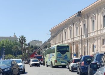 Calcinacci Mercato Pesce