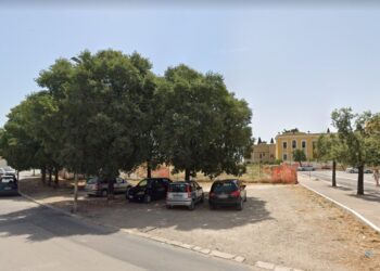 Cerignola