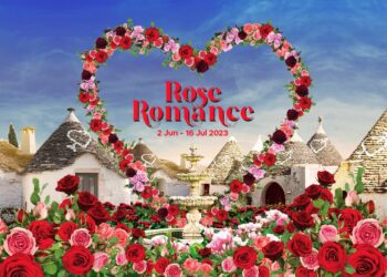 Foto Rose Romance
