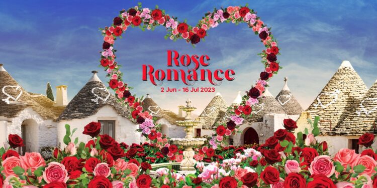 Foto Rose Romance