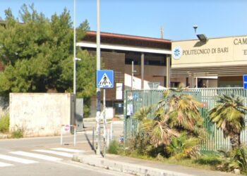 Politecnico
