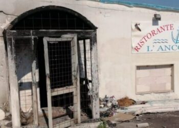 Ristorante L'ancora