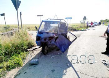 Vivi La Strada Camioncino