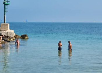 mare