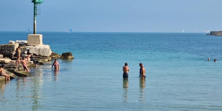 mare