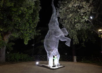 Elefante Lumen 2023