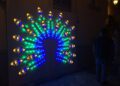 Pavone Lumen 2023