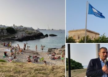 Bandiera Blu Ev