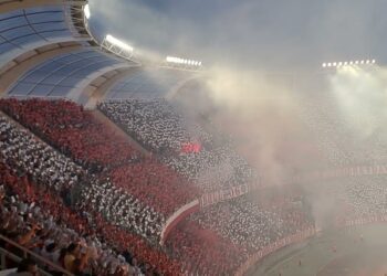 Bari Cagliari, Emozione Allo Stadio: La Coreografia Del San Nicola è Uno Spettacolo – Video