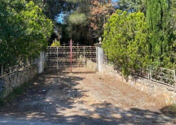 Investe E Uccide Figlia