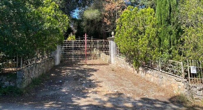 Investe E Uccide Figlia