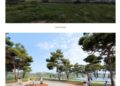 27 07 23 Bari Costa Sud Parco Costiero Torre Quetta 2