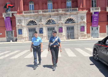 Gendarmeria E Carabinieri