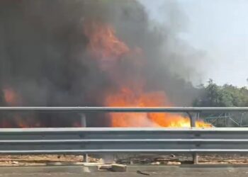 Incendio Japigia