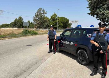 carabinieri spinazzola
