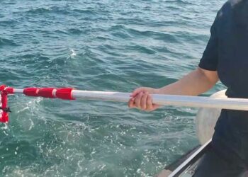 Alga Tossica, Il Monitoraggio Dell’arpa: Ecco Perché Prolifera In Puglia – Video