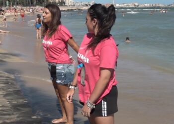 Animazione Spiagge