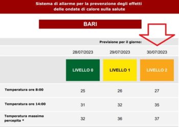 Bollettino Bari Ok