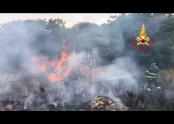 Brucia Il Sud Del Salento, Evacuato Lido A Gallipoli: In Fiamme Macchia E Pineta Mediterranea – Video E Foto