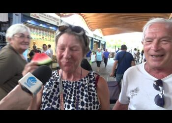 Frutta Fresca Estiva, Cosa Acquistano I Baresi: “tutta Roba Nostra A Chilometro Zero” – Video