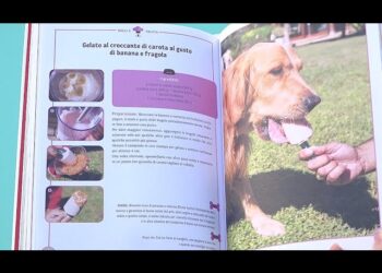 “gelato Banana E Fragola Con Croccante Di Carota”, Le Ricette Estive Per Cani Di Almo Bibolotti