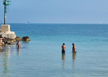 Mare