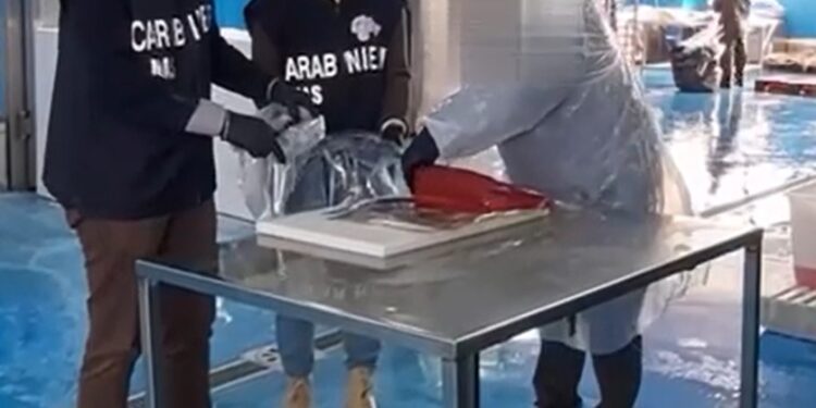 Nas Tonno