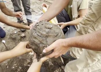 Nella Necropoli A Torre Guaceto Tracce Di Birra Dell’età Del Bronzo, Scoperti Ricchi Corredi Funerari Video