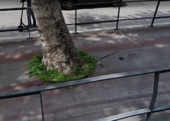 Pista Ciclabile Viale Unità D'italia