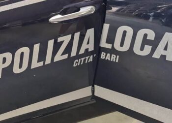 Polizia Locale 2