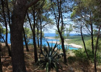 Porto Selvaggio
