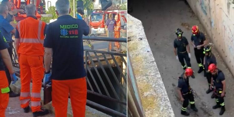 Rutigliano Evidenza
