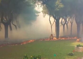 Vasto Incendio A San Cataldo, Evacuazione In Corso: Distrutti 10 Ettari Di Macchia Mediterranea – Video