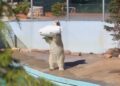 Zoosafari 7