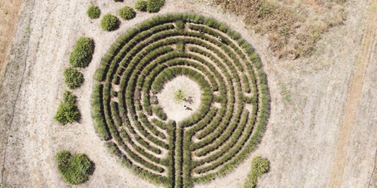 I Giardini Di Pomona Labirinto Di Lavanda