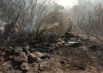 Protezione Civile Incendio A Palagianello (2)