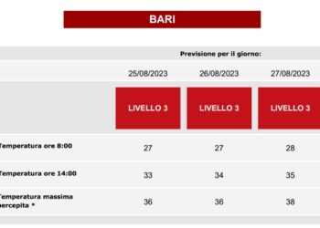 Bari Bollino