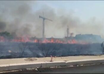 Bari, Maxi Incendio A Sant’anna: Le Immagini (e L’esasperazione) Dei Residenti – Video E Foto