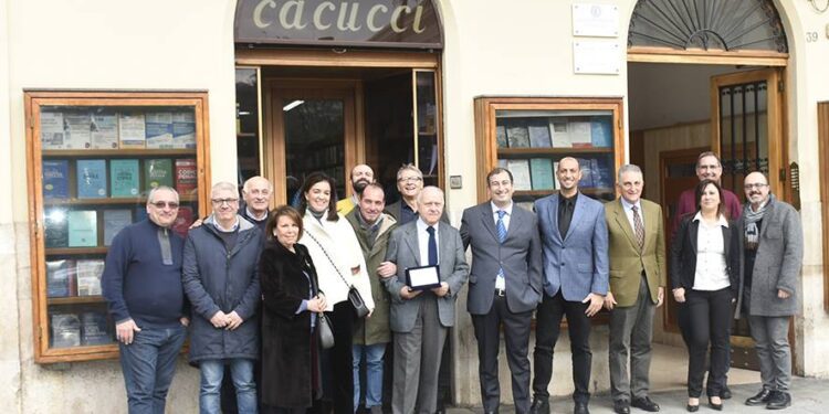 Cacucci Ok