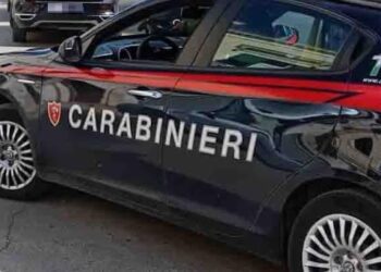 Carab
