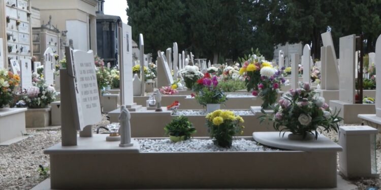 Cimitero