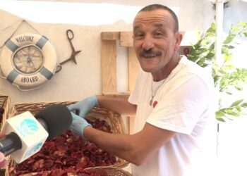 Ecco Come Si Preparano I Pomodori Secchi In Puglia, Peppino: “ricetta Di Mamma Graziella” – Video
