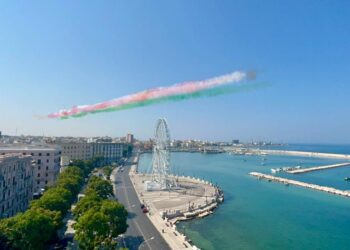 Frecce Tricolori (1)