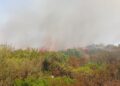 Incendio Martina Franca (1)