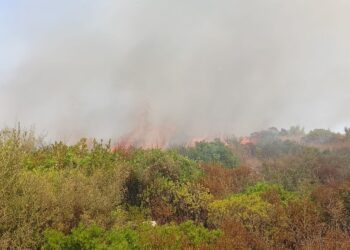 Incendio Martina Franca (1)