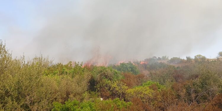 Incendio Martina Franca (1)