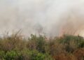 Incendio Martina Franca (2)