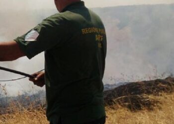 Incendio Arif